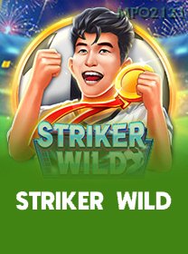 Striker Wild game cover
