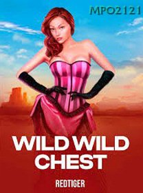Wild Wild Chest game cover