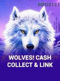Wolves Cash Collect And Link game cover